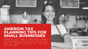 Read more about the article AMERGIN TAX PLANNING FOR SMALL BUSINESS OWNERS