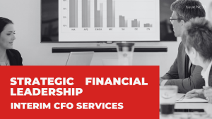 Read more about the article STRATEGIC FINANCIAL LEADERSHIP: INTERIM CFO SERVICES